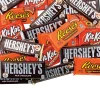 Hershey's<Oriental Trading New