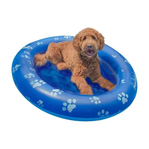 Inflatable Pet Float Medium Size Up To 35 Lbs.<Oriental Trading Cheap