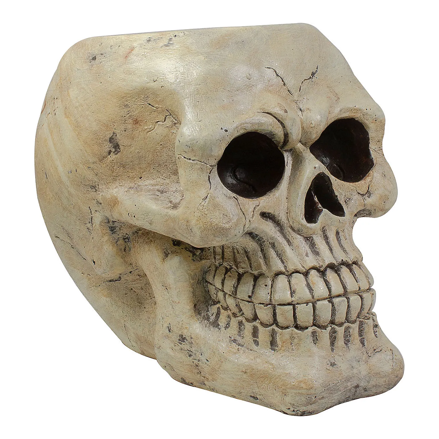 ivory_and_black_hallowee_1.webp 11" Ivory And Black Halloween Skull Tabletop Decoration<Oriental Trading Hot
