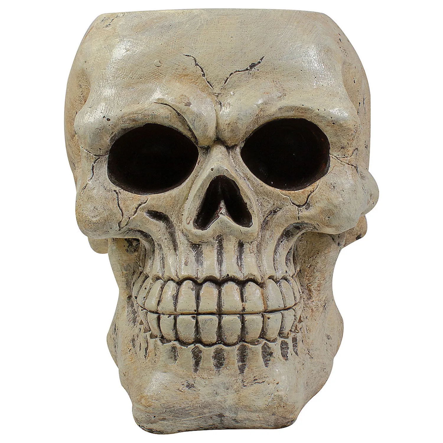 ivory_and_black_hallowee_2.webp 11" Ivory And Black Halloween Skull Tabletop Decoration<Oriental Trading Hot