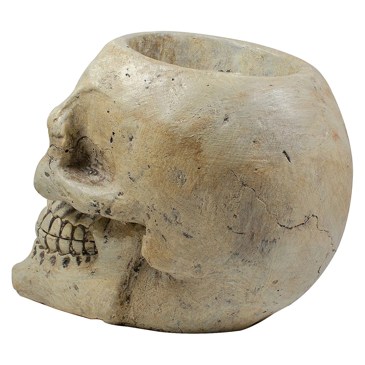 ivory_and_black_hallowee_4.webp 11" Ivory And Black Halloween Skull Tabletop Decoration<Oriental Trading Hot