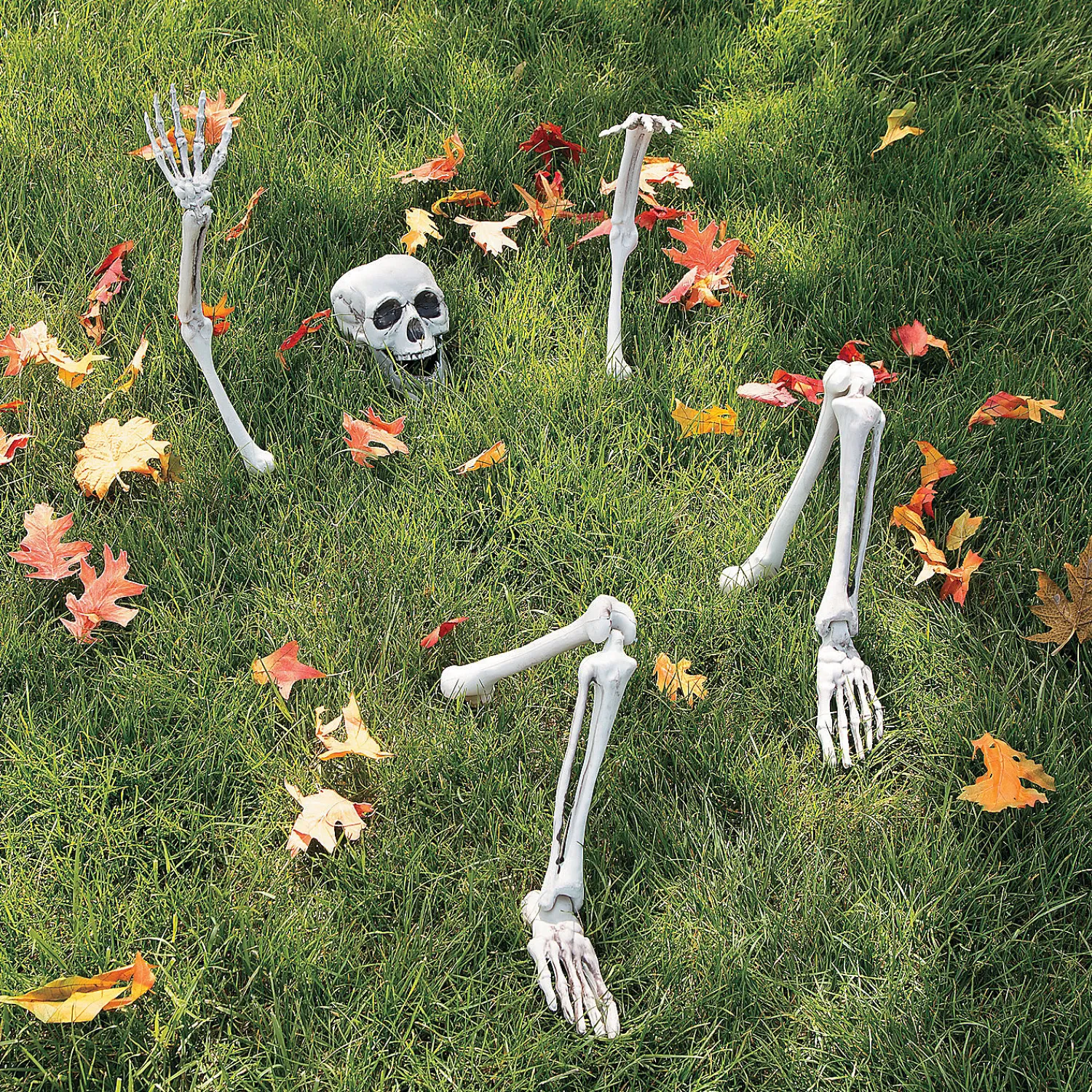lifesize_skeleton_yard_ha_0.webp Life-Size Skeleton Yard Halloween Decoration<Oriental Trading Cheap