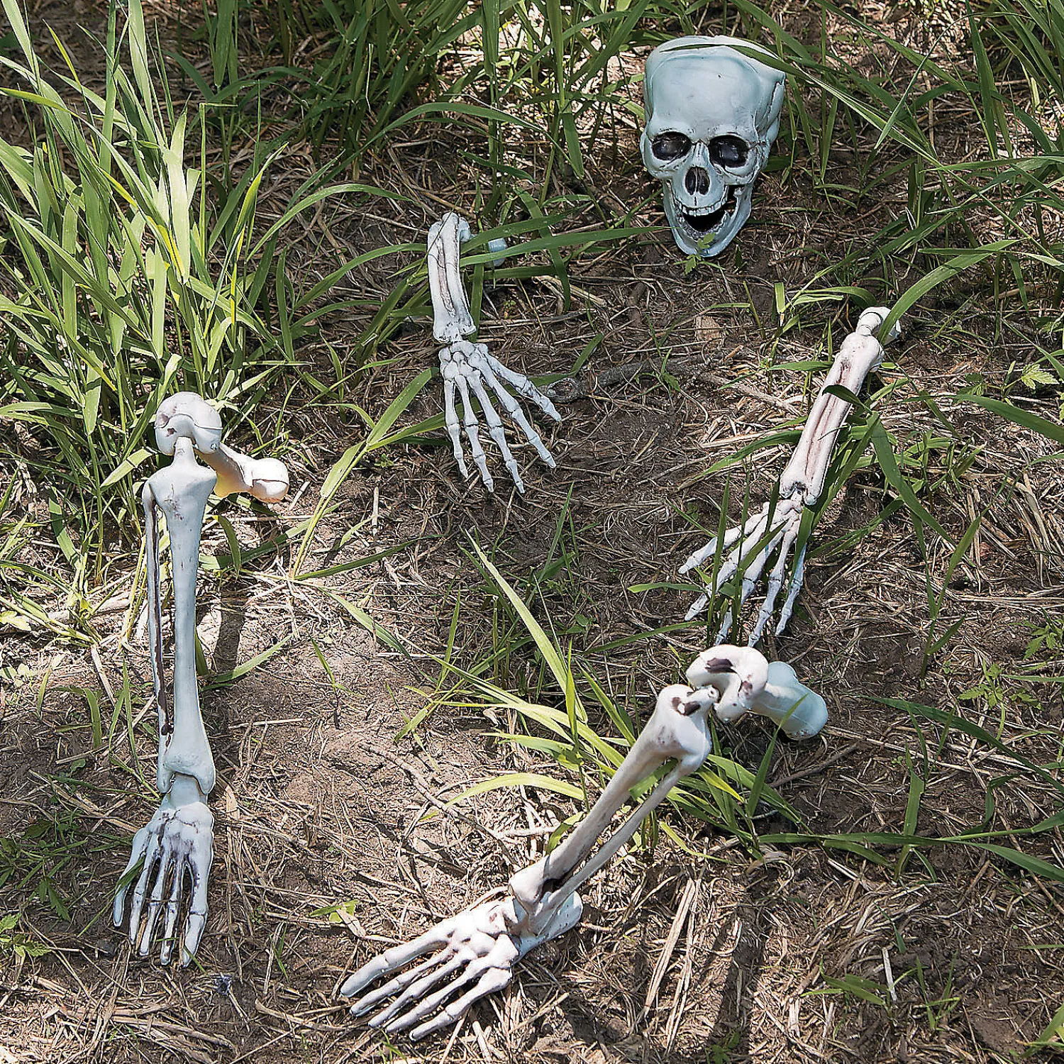 lifesize_skeleton_yard_ha_2.webp Life-Size Skeleton Yard Halloween Decoration<Oriental Trading Cheap