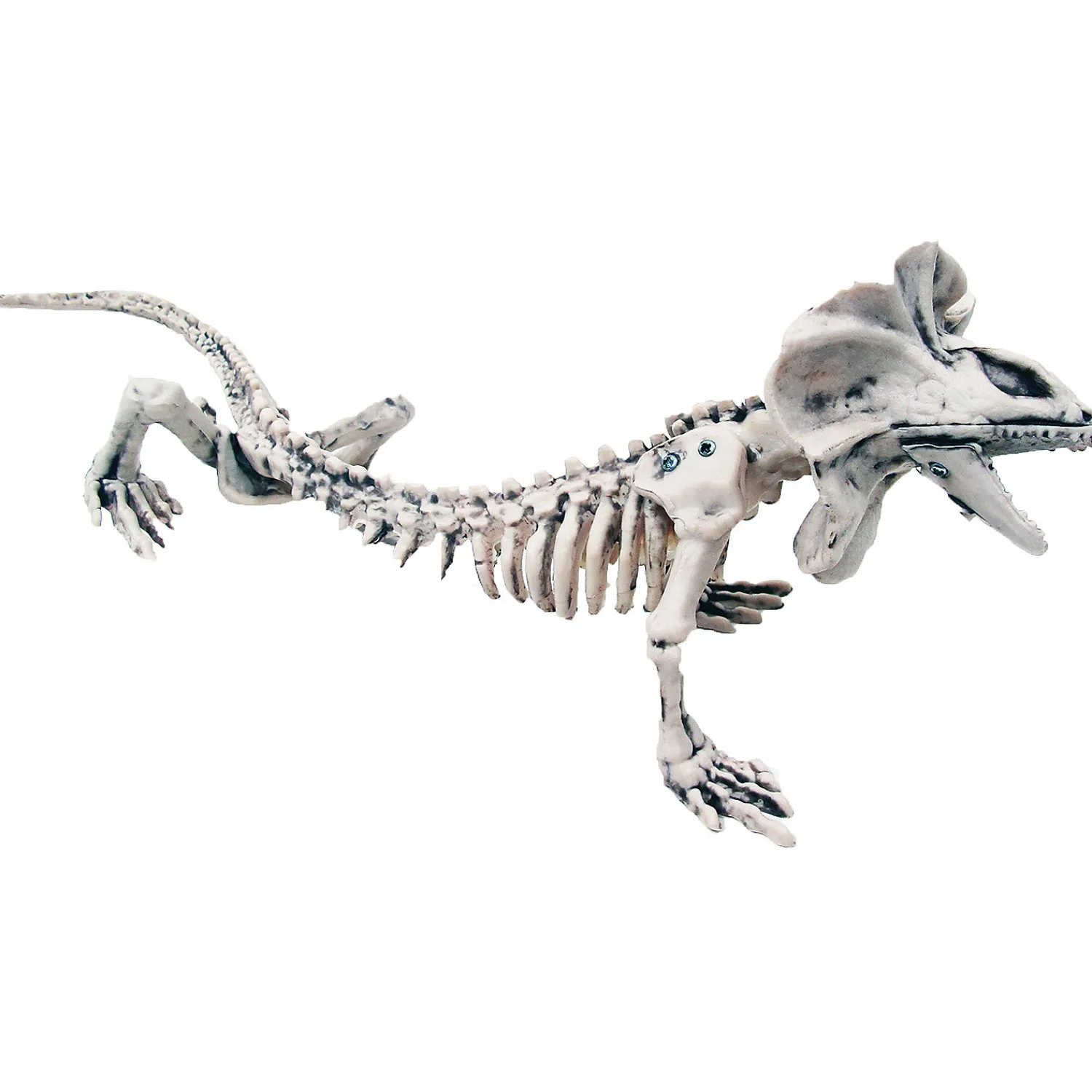 lizard_skeleton_decoratio_0.webp Lizard Skeleton Decoration<Oriental Trading Store