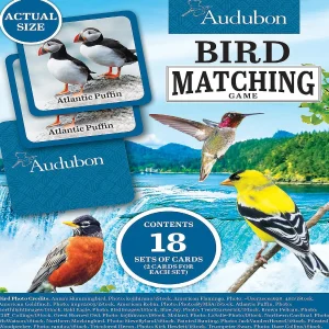Oriental Trading Playing Cards*Masterpieces Officially Licensed Audubon Picture Matching Card Game For Kids And Families