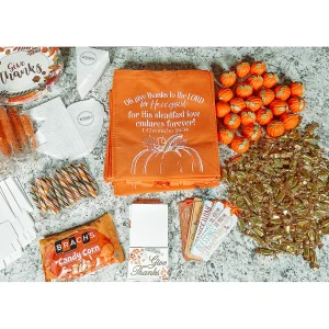 Mini Pumpkin Stress Toys - 24 Pc.<Oriental Trading Hot