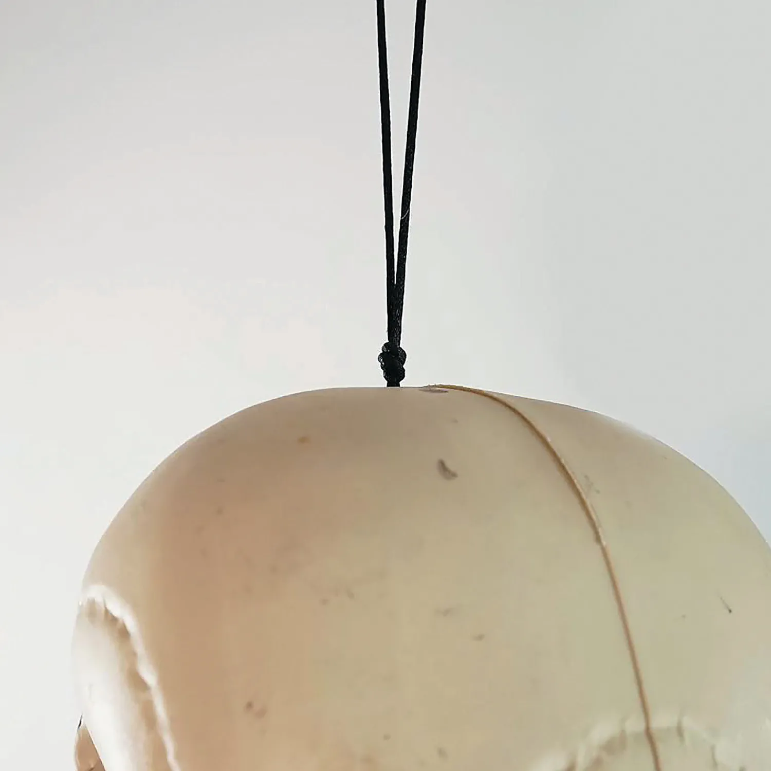 northlight__life_size_ske_2.webp Northlight 5' Life Size Skeleton Halloween Decoration<Oriental Trading Clearance