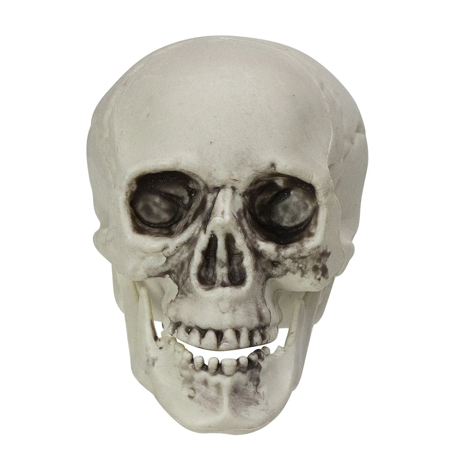 pack_of__skull_head_hallo_1.webp Pack Of 6 Skull Head Halloween Decorations 3.5"<Oriental Trading Outlet