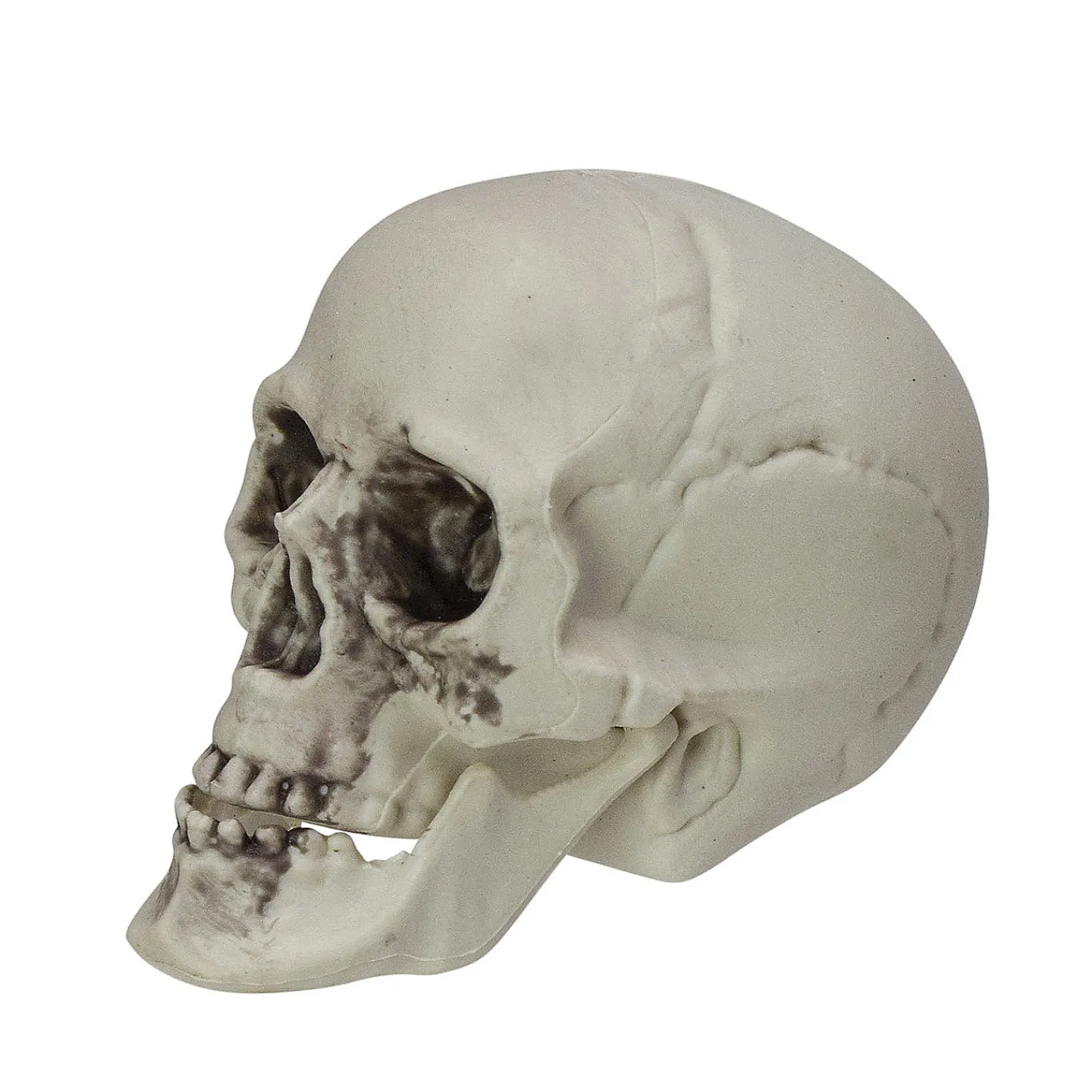 pack_of__skull_head_hallo_2.webp Pack Of 6 Skull Head Halloween Decorations 3.5"<Oriental Trading Outlet