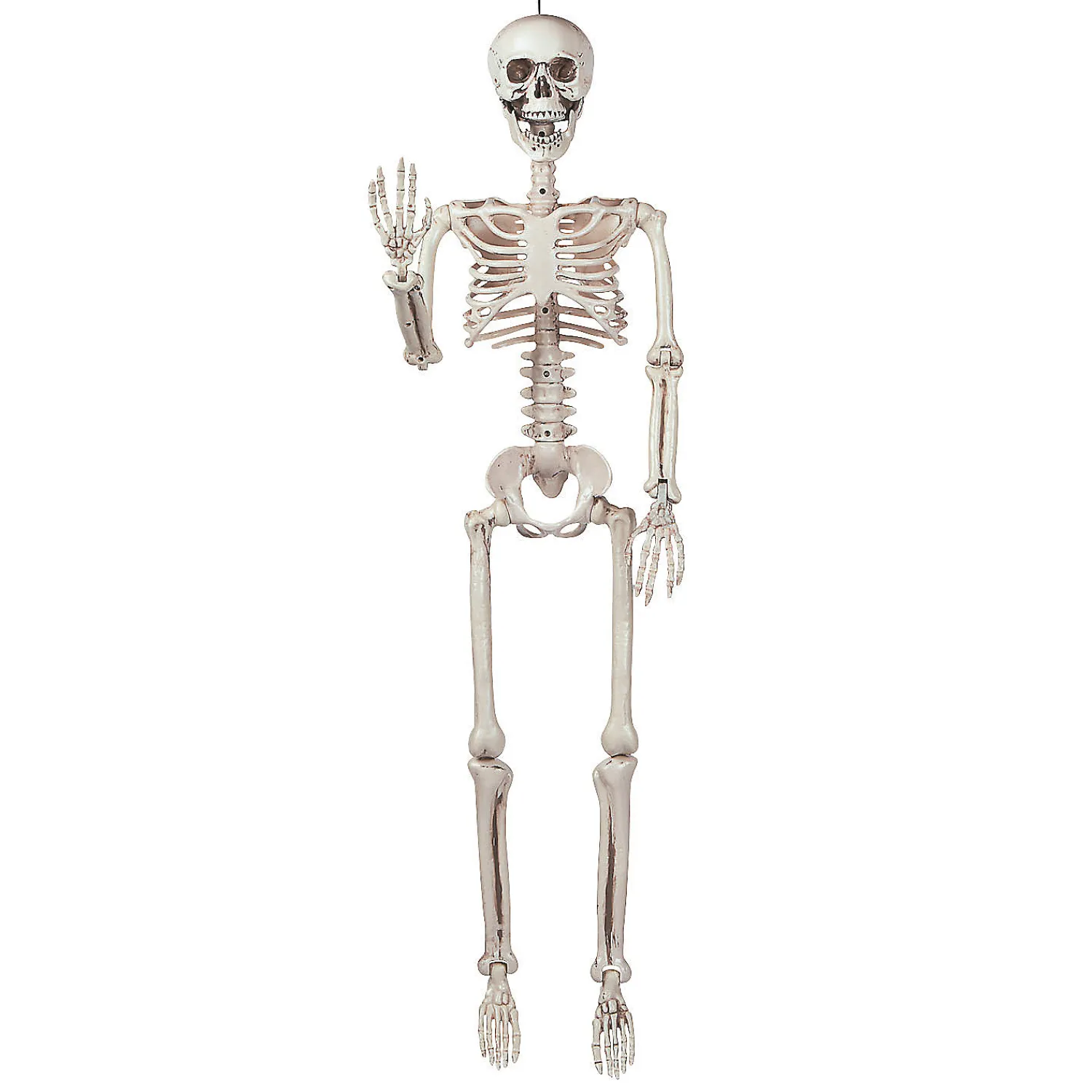 posable_skeleton_hallowe_1.webp 3' Posable Skeleton Halloween Decoration<Oriental Trading Sale