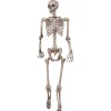 62" Poseable Skeleton Decoration<Oriental Trading Discount