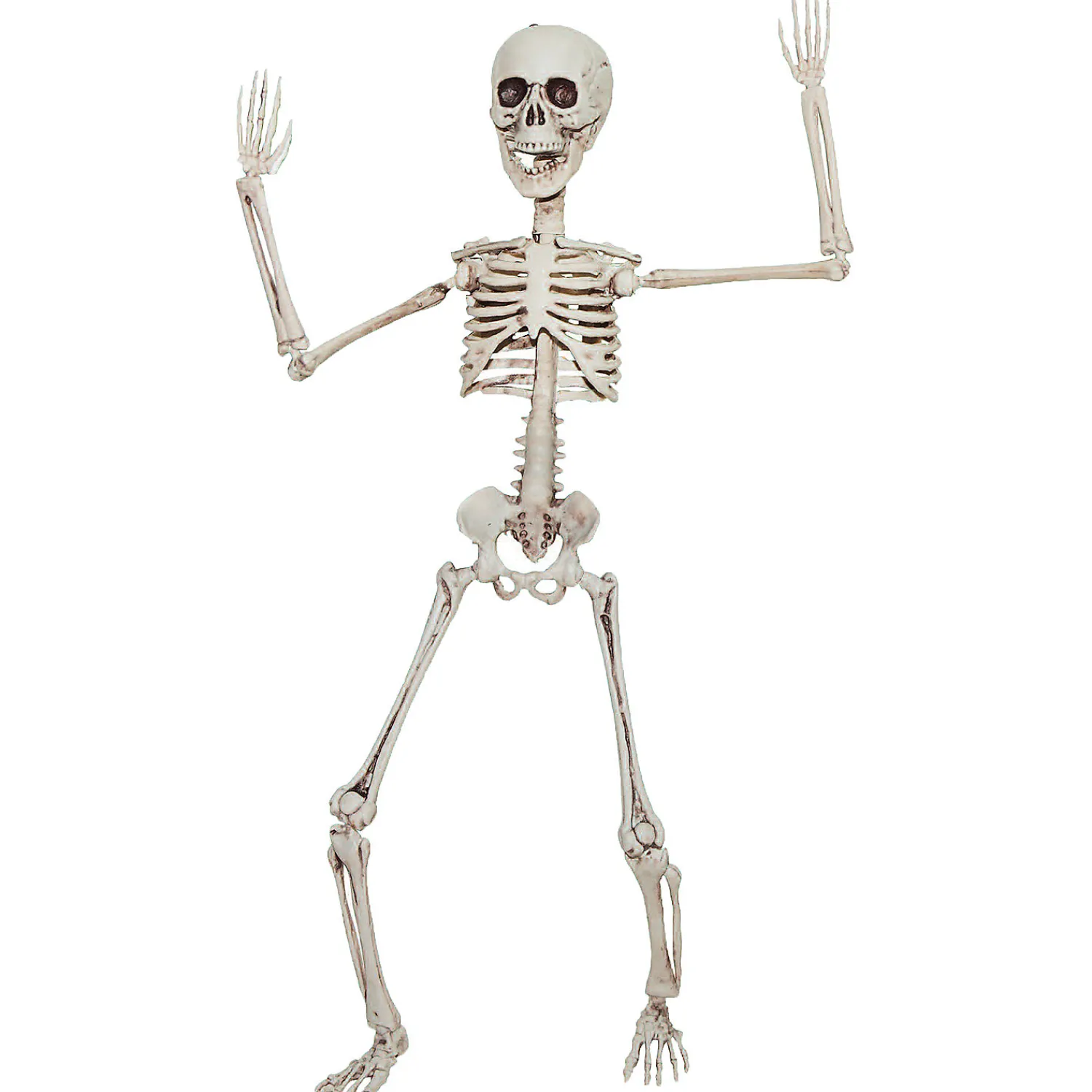 poseable_skeleton_decora_0-2.webp 19" Poseable Skeleton Decoration<Oriental Trading Best