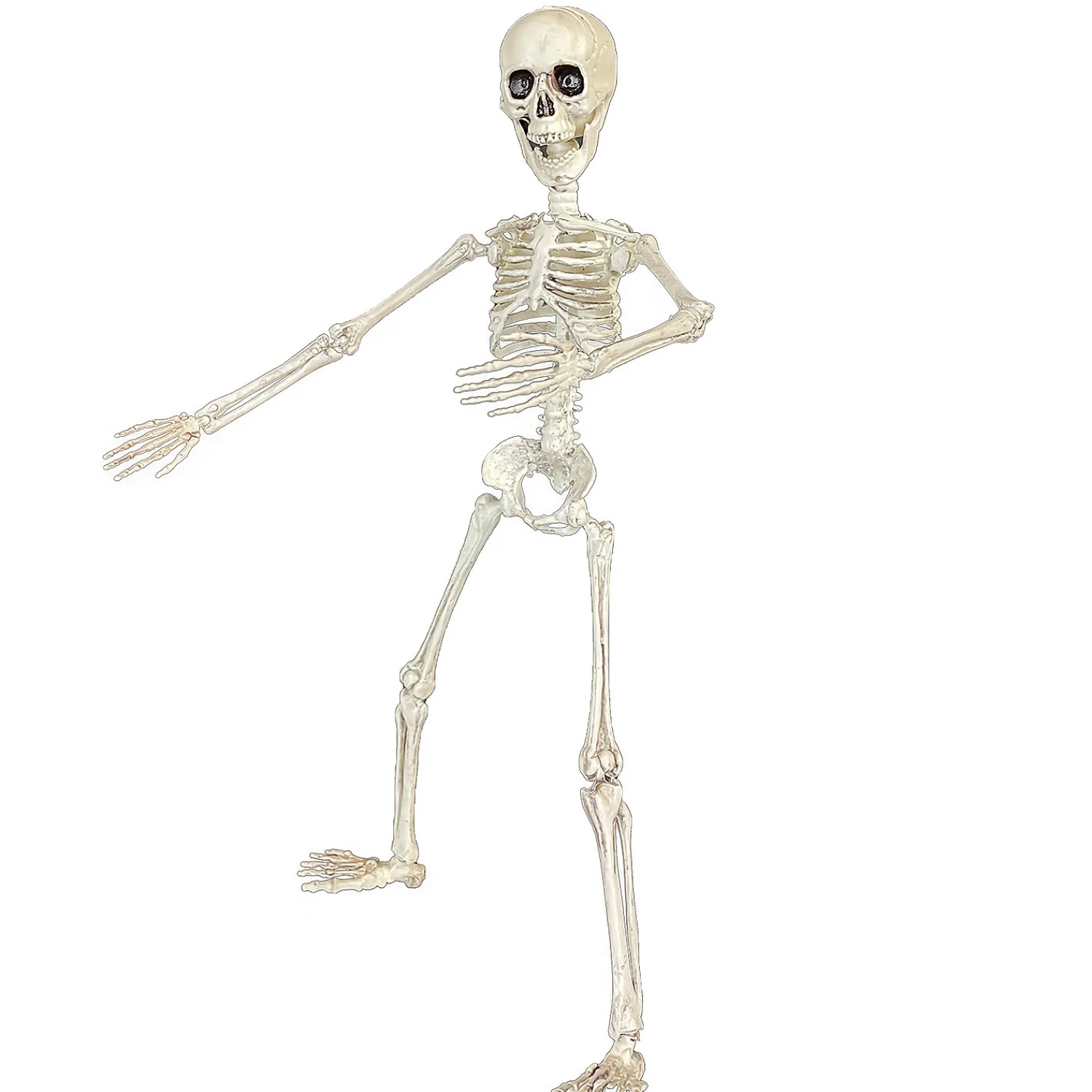 poseable_skeleton_decora_2.webp 19" Poseable Skeleton Decoration<Oriental Trading Best