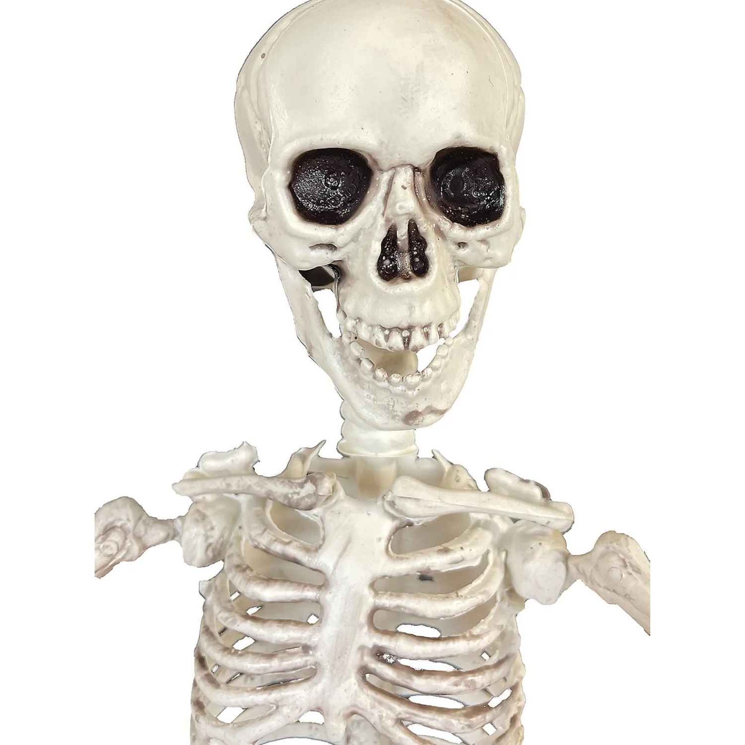 poseable_skeleton_decora_3.webp 19" Poseable Skeleton Decoration<Oriental Trading Best