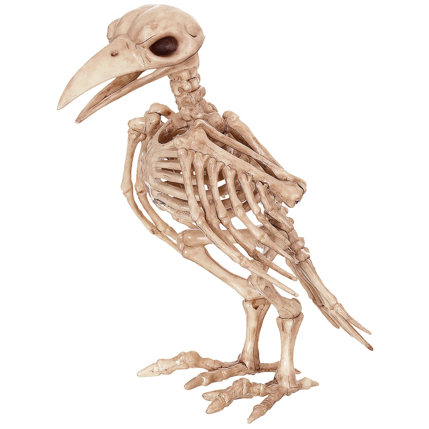 raven_skeleton_decoratio_0.webp 6.5" Raven Skeleton Decoration<Oriental Trading New