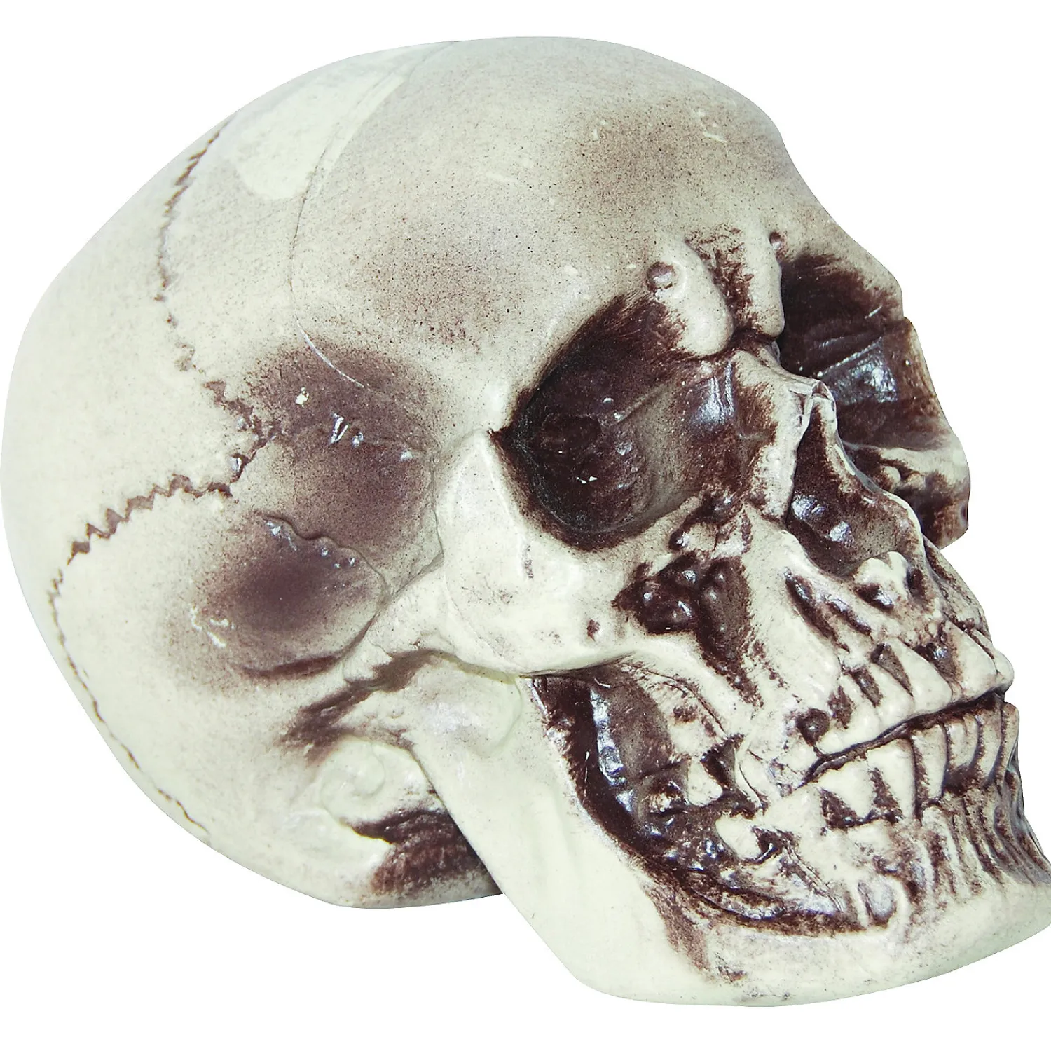 realistic_skull_decoratio_0.webp Realistic Skull Decoration<Oriental Trading Outlet