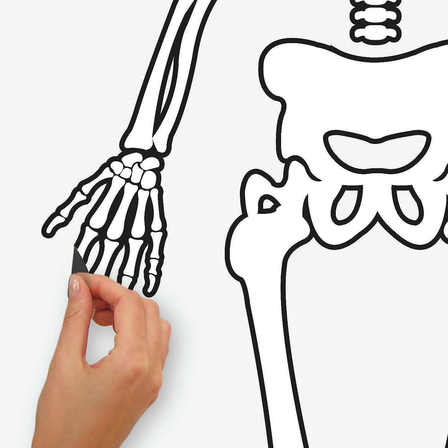 roommates_skeleton_glow_i_2.webp Roommates Skeleton Glow In The Dark Peel And Stick Giant Wall Decals<Oriental Trading Best