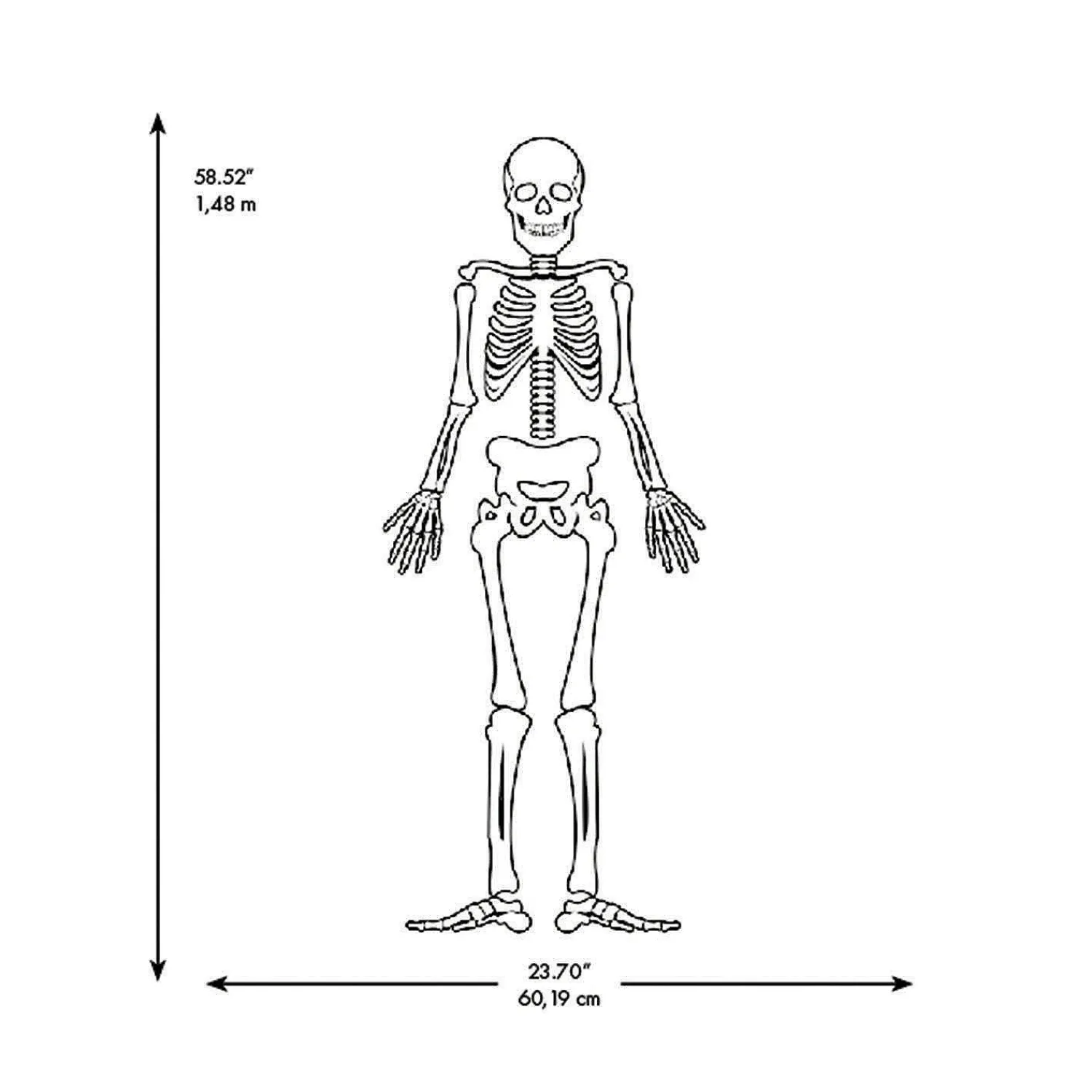 roommates_skeleton_glow_i_3.webp Roommates Skeleton Glow In The Dark Peel And Stick Giant Wall Decals<Oriental Trading Best