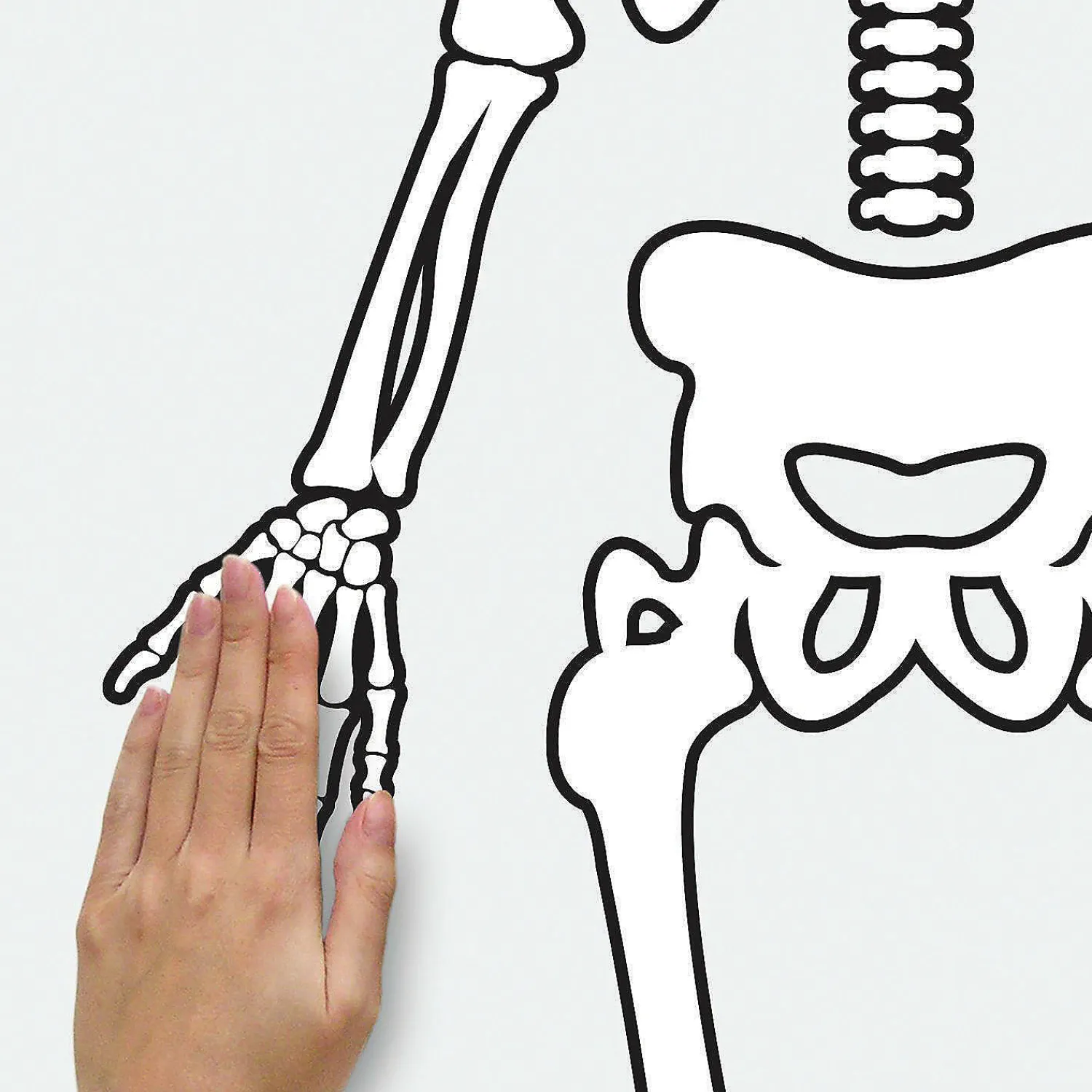 roommates_skeleton_glow_i_4.webp Roommates Skeleton Glow In The Dark Peel And Stick Giant Wall Decals<Oriental Trading Best