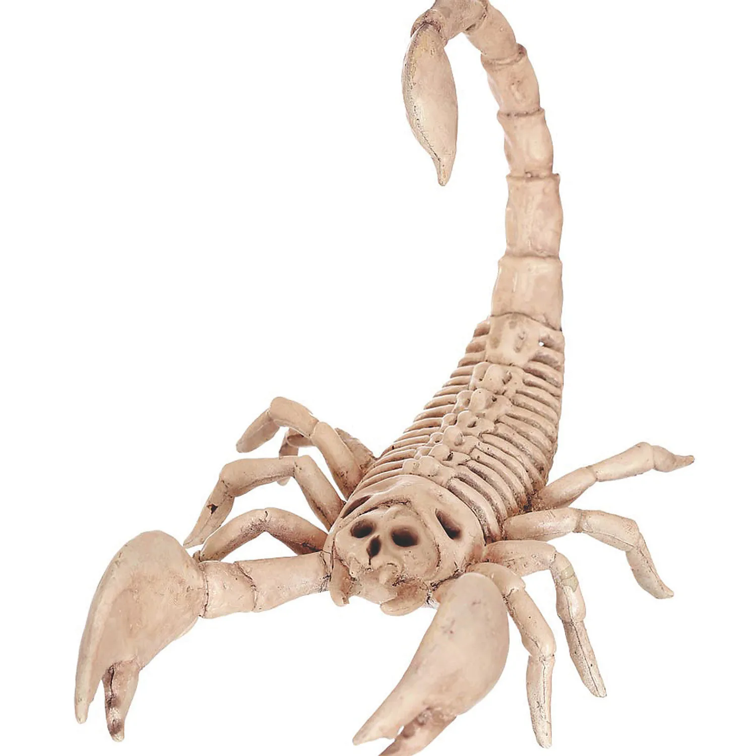 scorpion_skeleton_hallowe_0.webp Scorpion Skeleton Halloween Decoration<Oriental Trading Cheap