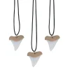 Oriental Trading Necklaces*Shark Tooth Necklaces - 12 Pc.