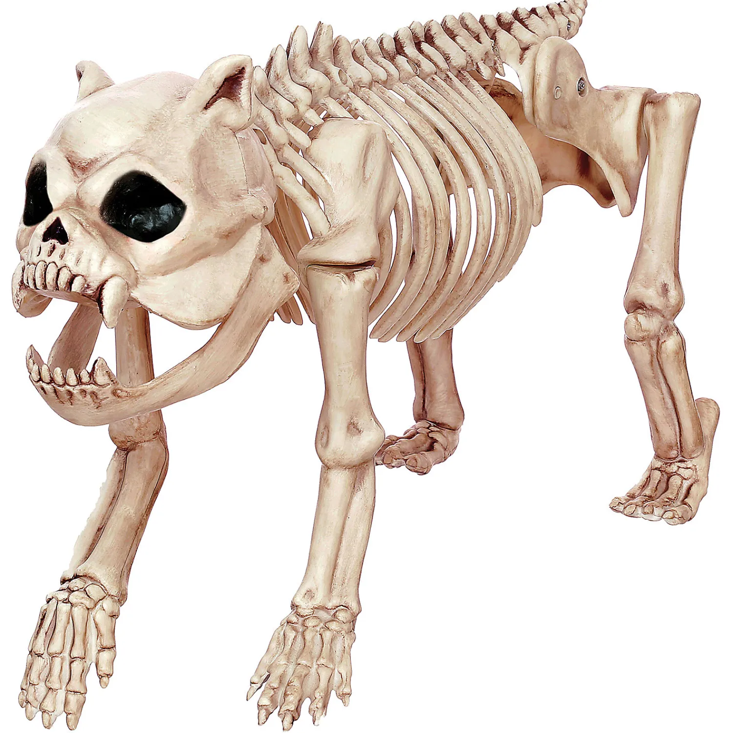 skeleton_bones_the_dog_pr_0.webp Skeleton Bones The Dog Prop<Oriental Trading Shop