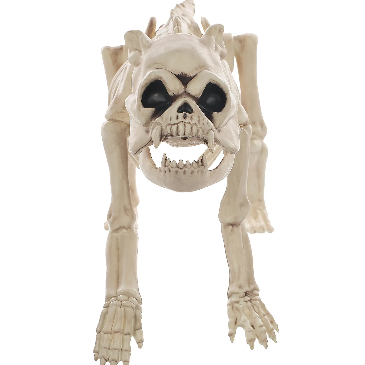 skeleton_bones_the_dog_pr_3.webp Skeleton Bones The Dog Prop<Oriental Trading Shop