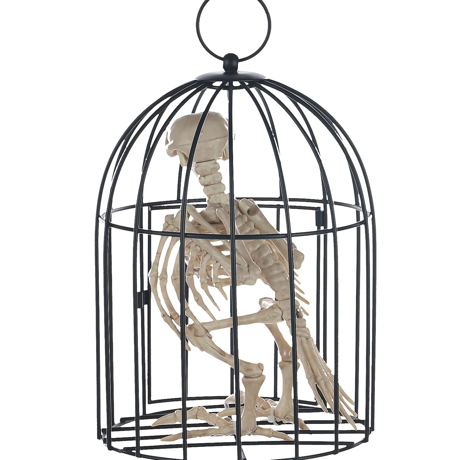 skeleton_crow_in_a_cage_1.webp Skeleton Crow In A Cage<Oriental Trading Online