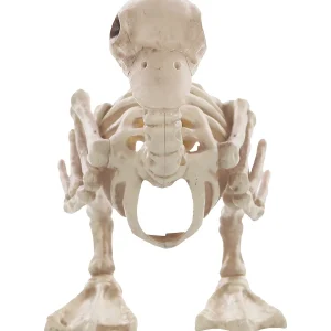 Skeleton Duck Decoration<Oriental Trading Flash Sale