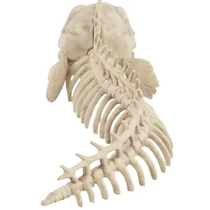 Skeleton Eel Prop<Oriental Trading Clearance