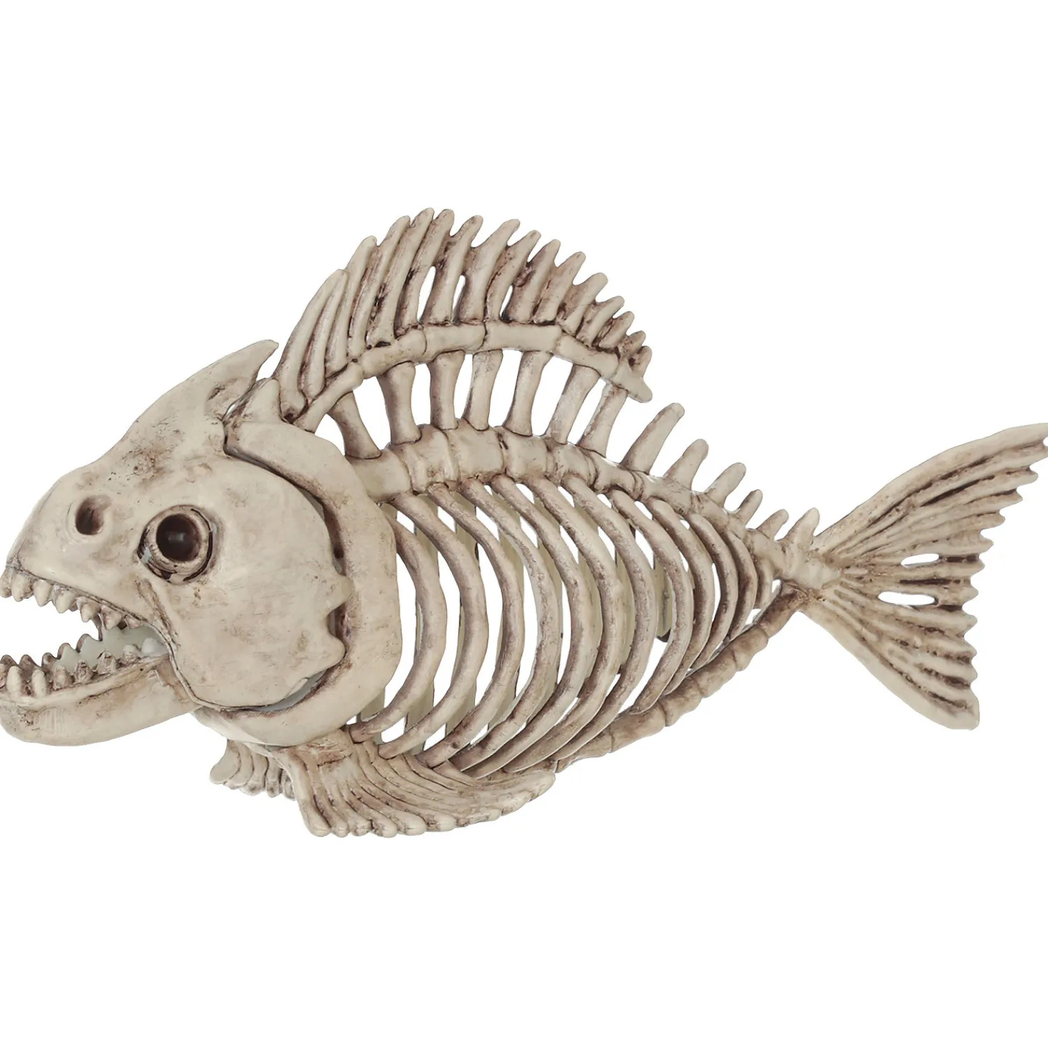 skeleton_fish_0.webp Skeleton Fish<Oriental Trading Shop