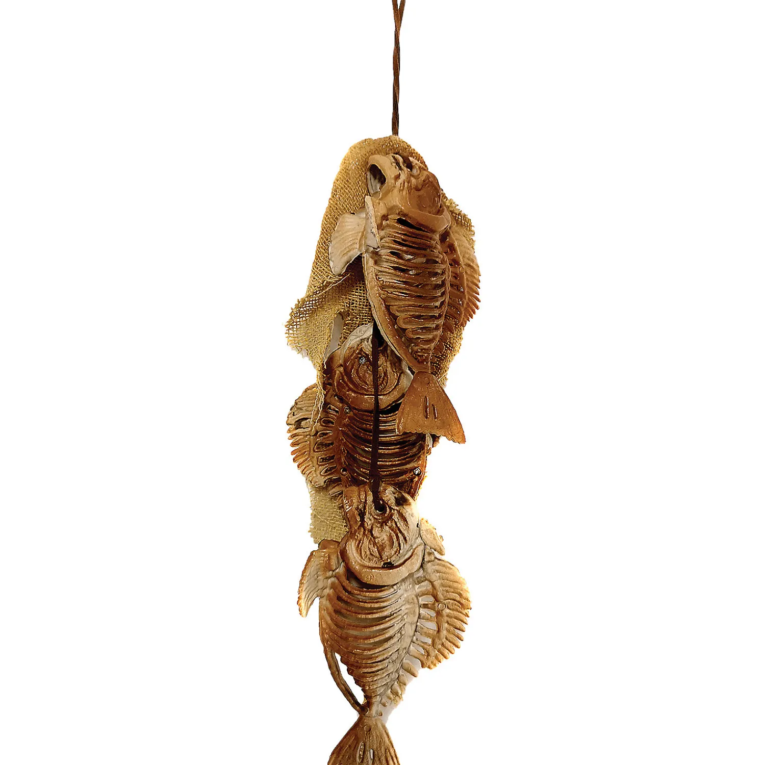 skeleton_fish_string_0.webp Skeleton Fish String<Oriental Trading Hot