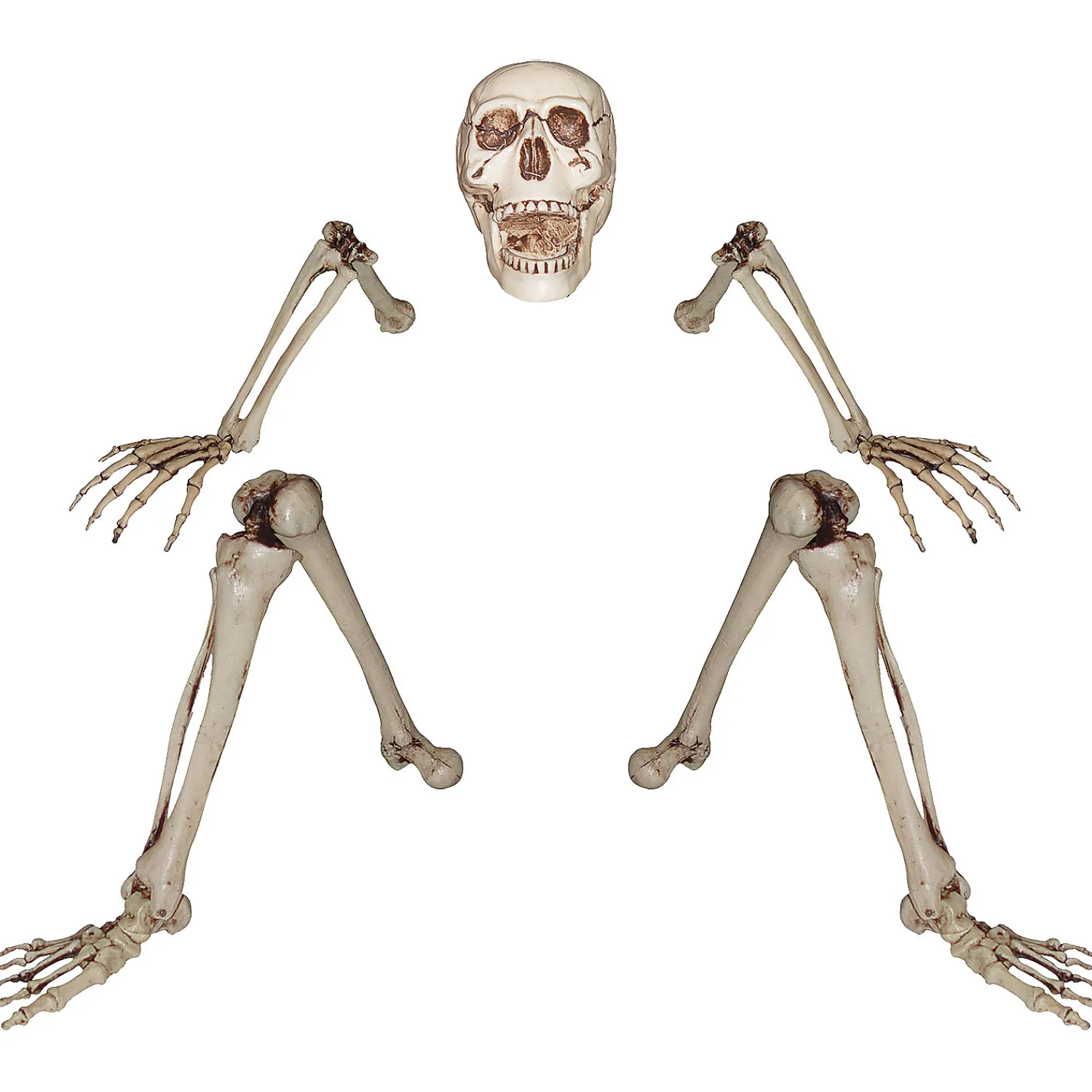 skeleton_groundbreaker_de_1.webp Skeleton Groundbreaker Decoration<Oriental Trading Shop