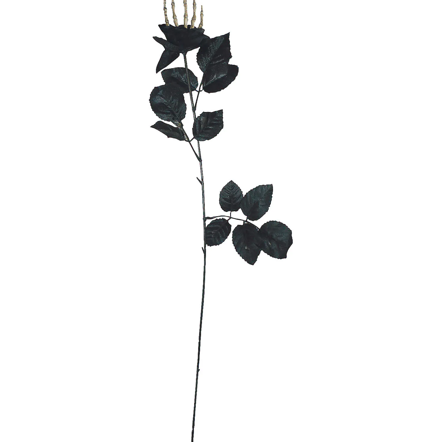 skeleton_hand_black_rose__0.webp Skeleton Hand Black Rose Decoration<Oriental Trading Store