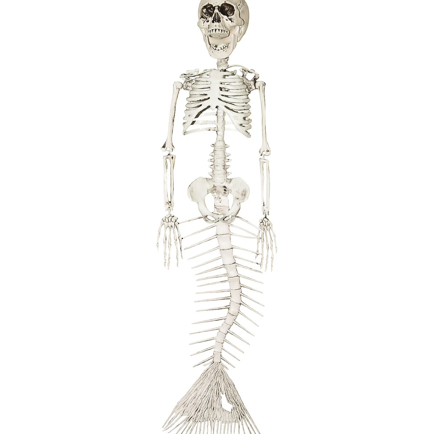 skeleton_mermaid_0.webp Skeleton Mermaid<Oriental Trading Store