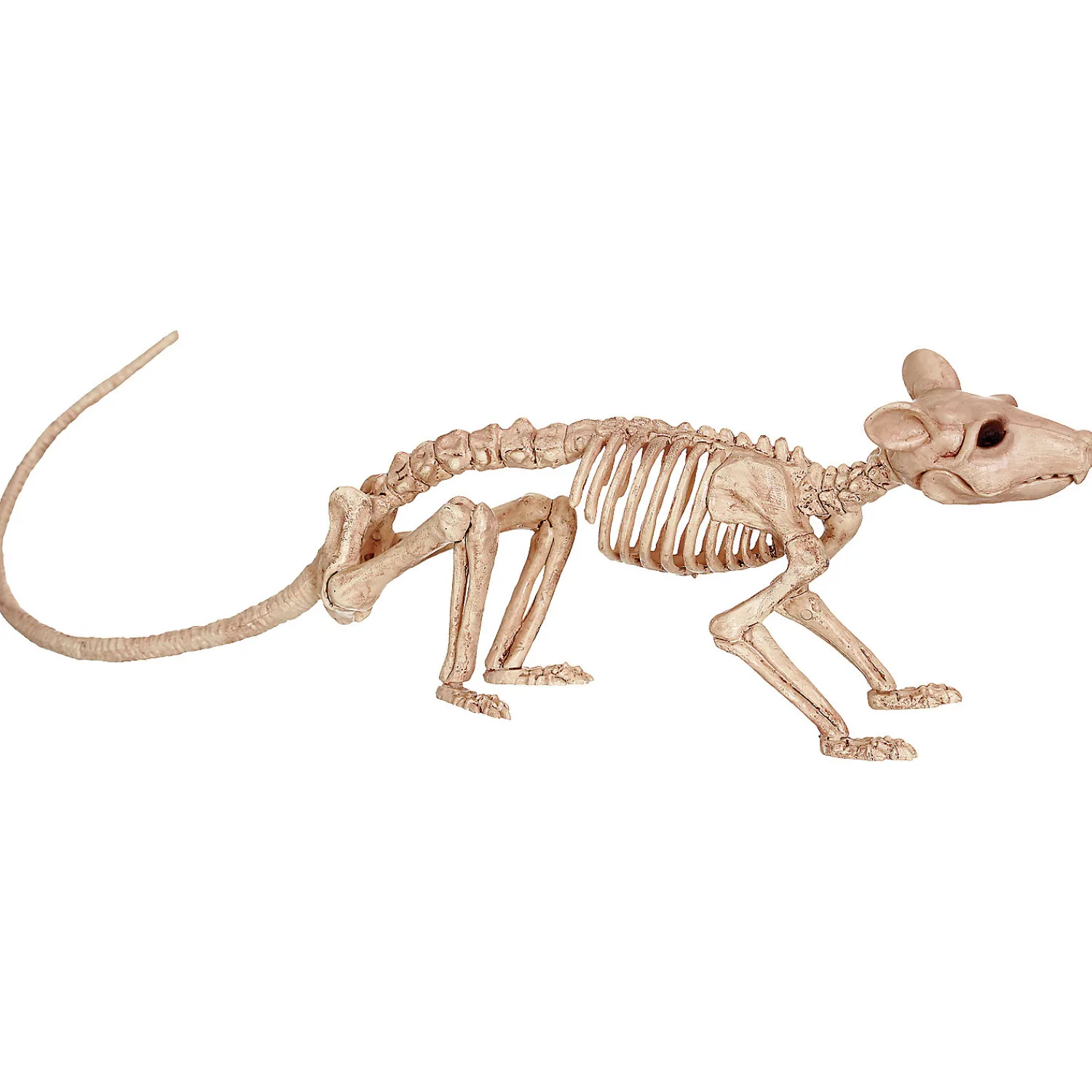 skeleton_rat_decoration_0.webp Skeleton Rat Decoration<Oriental Trading Best Sale