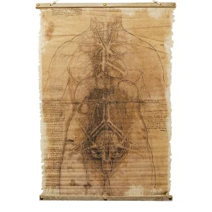 Skeleton Scroll Halloween Decoration<Oriental Trading Shop