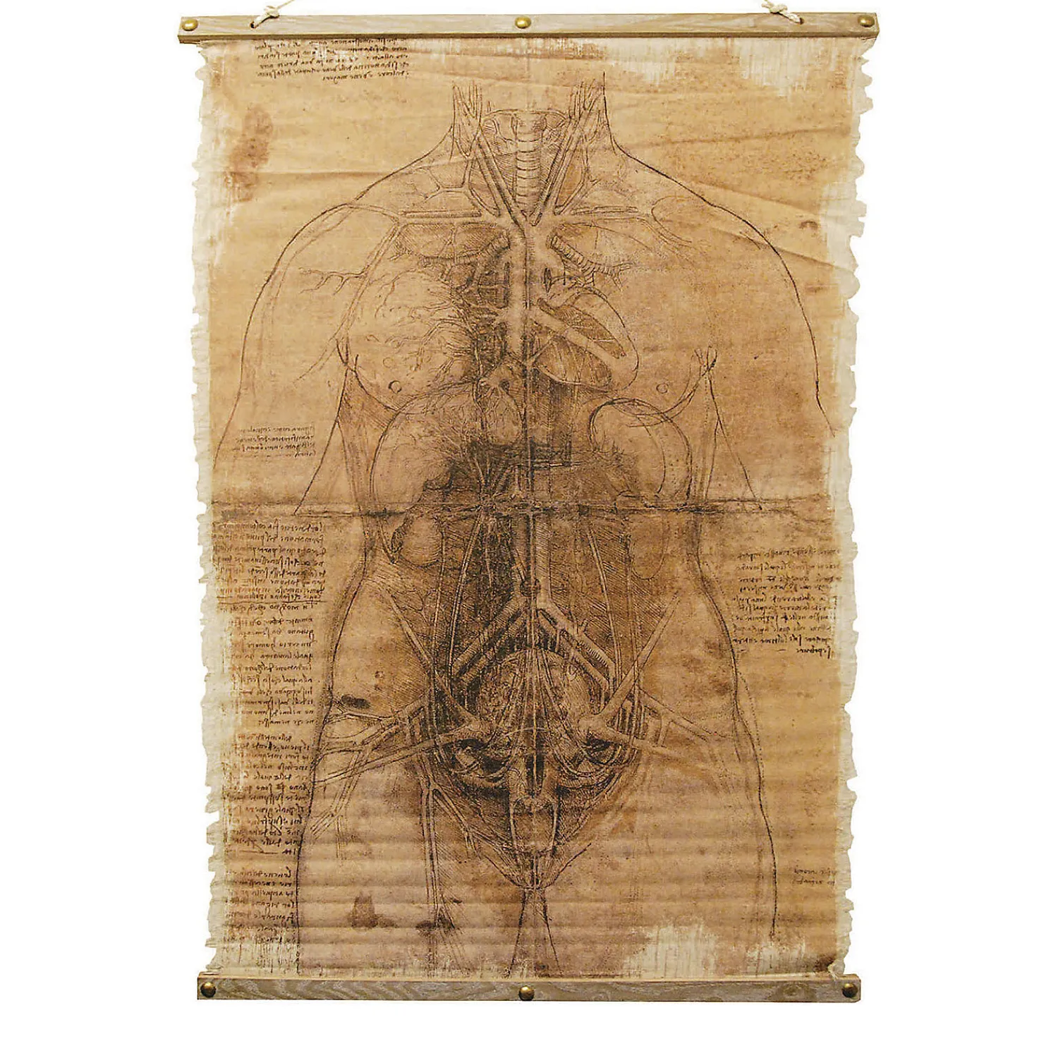 skeleton_scroll_halloween_0.webp Skeleton Scroll Halloween Decoration<Oriental Trading Shop