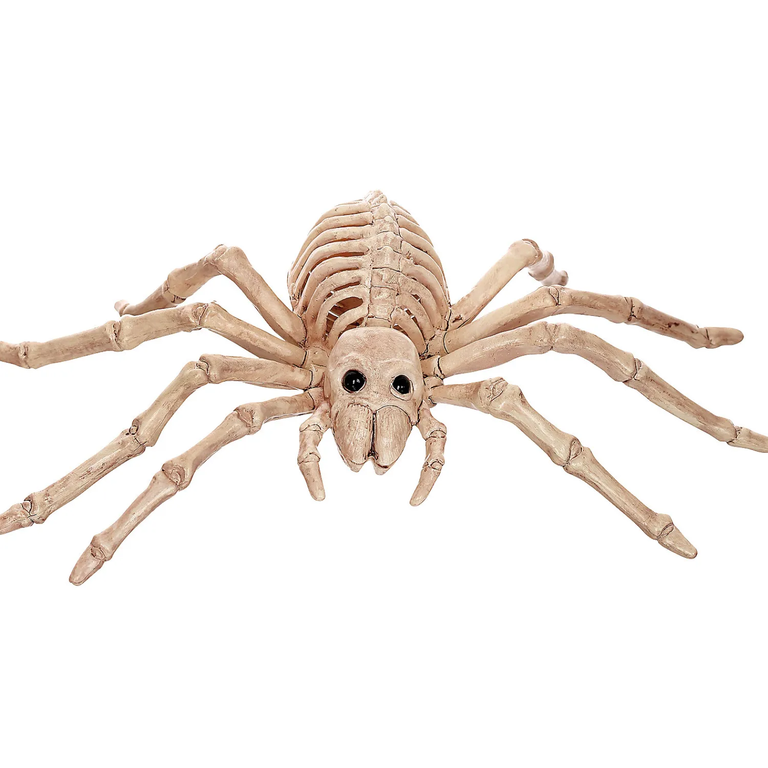 skeleton_spider_decoratio_0.webp Skeleton Spider Decoration<Oriental Trading Shop