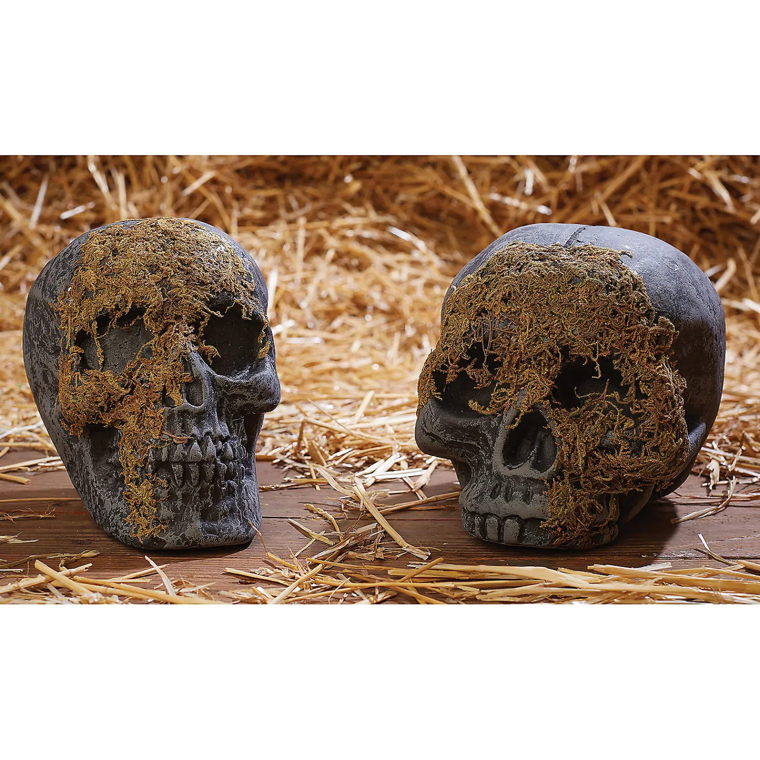 skull_moss_covered_no_jaw_0.webp Skull Moss Covered No Jaw<Oriental Trading Online