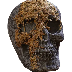 Skull Moss Covered With Jaw<Oriental Trading Outlet
