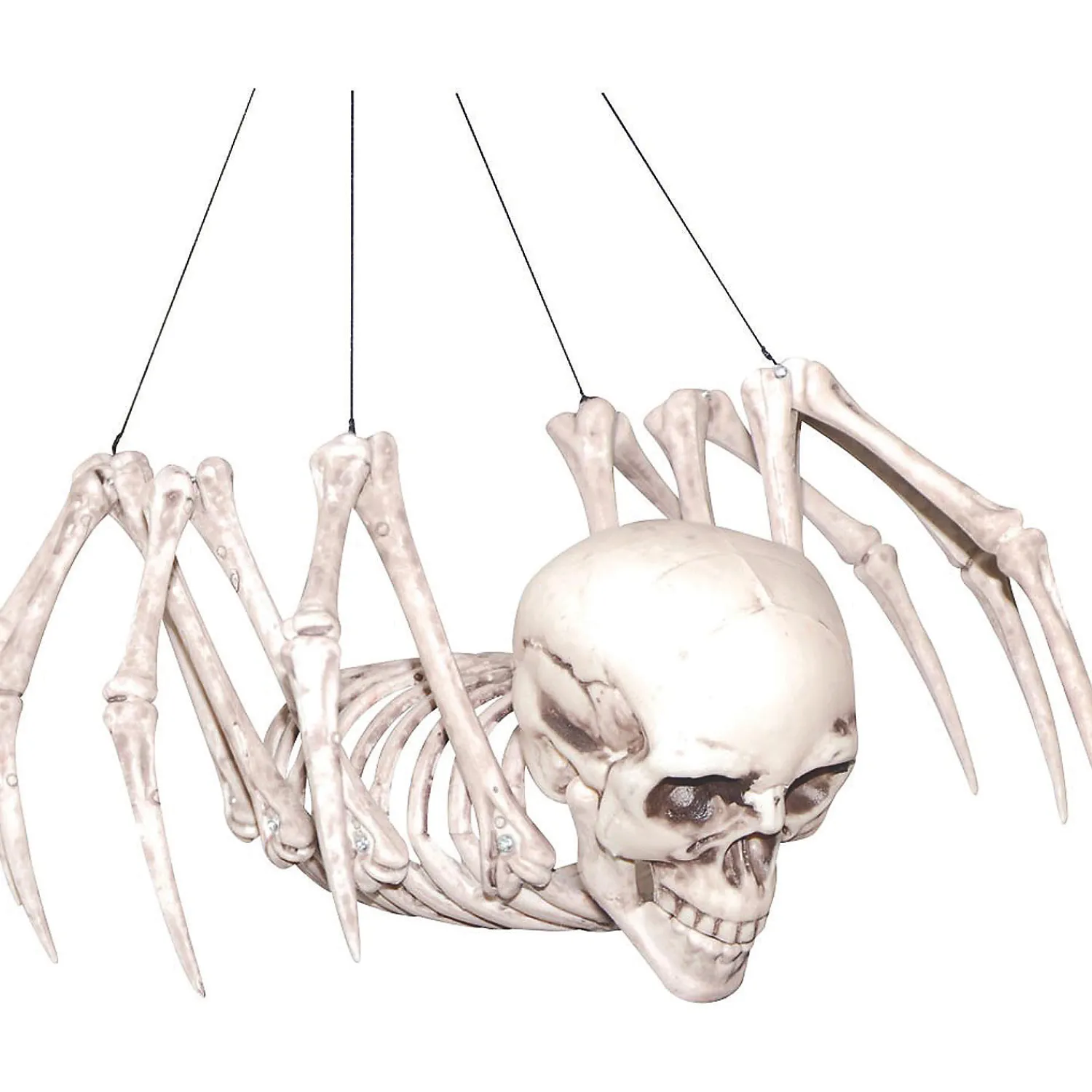 spider_skeleton_halloween_0.webp Spider Skeleton Halloween Decoration<Oriental Trading Sale