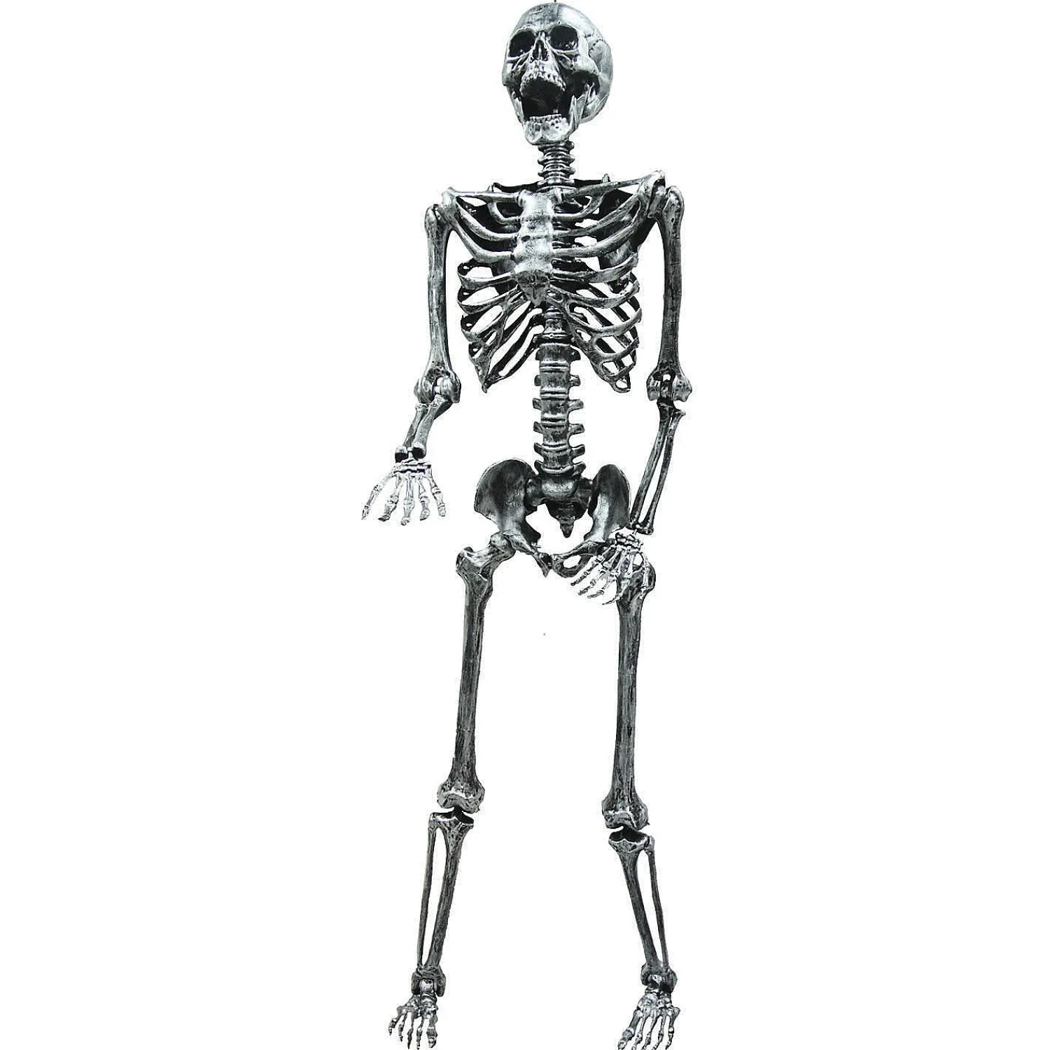 steel_gray_skeleton_hall_0.webp 5' Steel Gray Skeleton Halloween Decoration<Oriental Trading Best