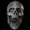 Stone Skull Prop<Oriental Trading Clearance