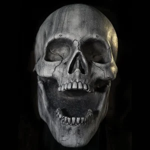 Stone Skull Prop<Oriental Trading Clearance