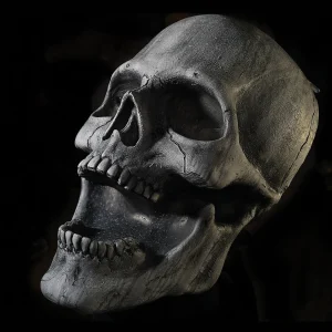 Stone Skull Prop<Oriental Trading Clearance