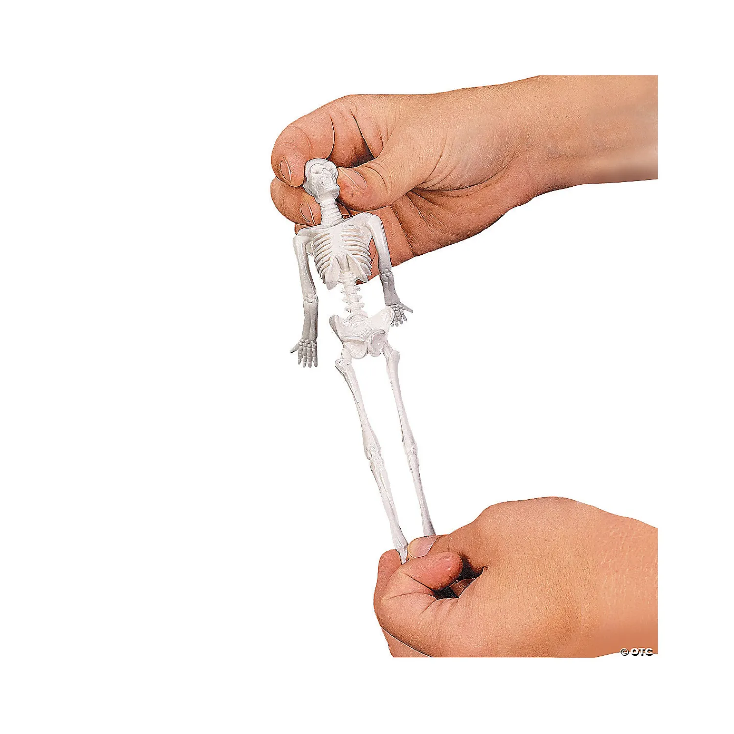 stretchy_skeletons_1.webp Stretchy Skeletons<Oriental Trading Hot