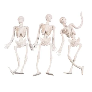 Stretchy Skeletons - 12 Pc.<Oriental Trading Discount