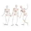 Stretchy Skeletons - 12 Pc.<Oriental Trading Fashion