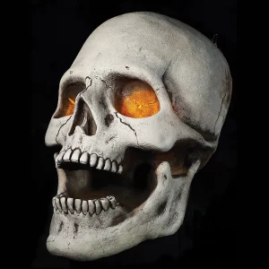 Super Skull Prop<Oriental Trading New